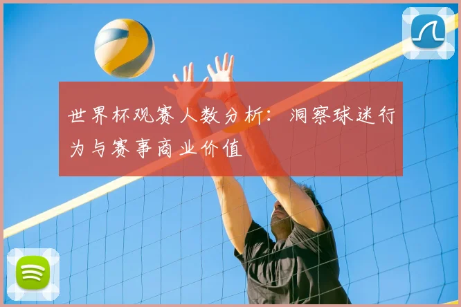 世界杯观赛人数分析：洞察球迷行为与赛事商业价值