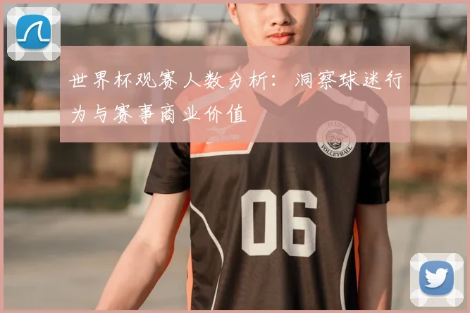世界杯观赛人数分析：洞察球迷行为与赛事商业价值