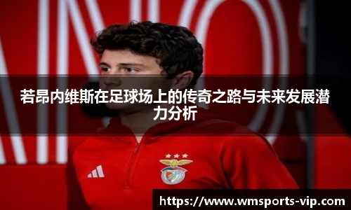 完美体育官网